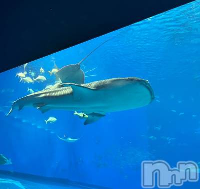 ���ᥭ��Х��顦�����Club Focus(����֡��ե�������) ����(20)��10��31���̥�֥�����🤍��