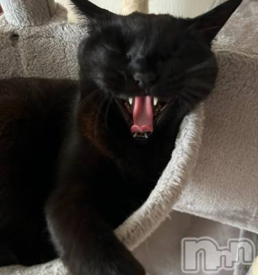 ���ᥭ��Х��顦�����Club Focus(����֡��ե�������) ����(20)��5��30���̥�֥�����🤍��