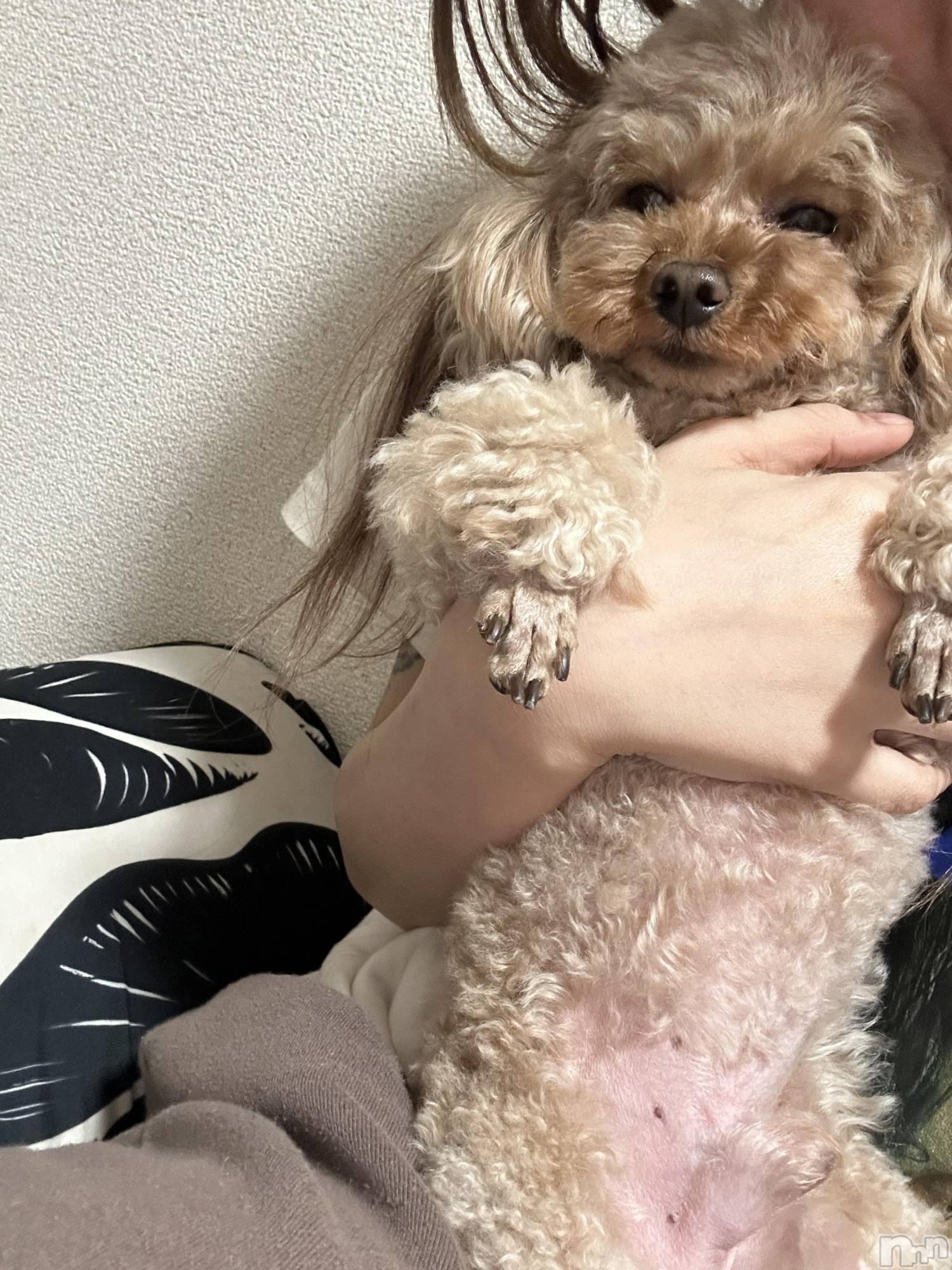 ��Ʋ����Х��顦�����clubTiara(�ƥ�����) ��2026ǯ3��4���̥�֥�����3��4�� 21��11ʬ�Υ֥�����