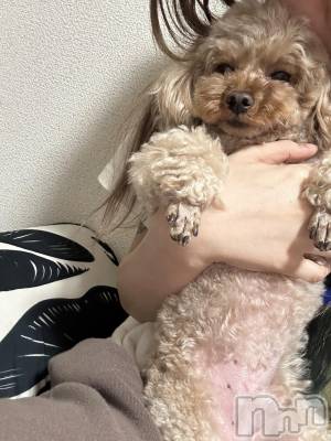 ��Ʋ����Х��顦�����clubTiara(�ƥ�����) ���(20)��4��20���̥�֥�����4��20�� 00��05ʬ�Υ֥�����