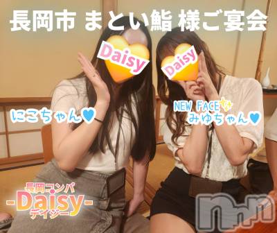 Ĺ襳ѥ˥󥯥 Ĺѥ˥-Daisy- ǥ (Ĺȯ 㸩)(ʥѥ˥ǥ)Źޥ᡼ܡ֤äȤޤ꤫ͿαޤǢ
