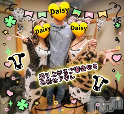 Ĺ�����������襳��ѥ˥��󥯥�� Ĺ������ѥ˥���-Daisy- �ǥ����� (Ĺ����ȯ ���㸩����)(�ʥ���������ѥ˥���ǥ�����)��Ź�ޥ��᡼�����ܡֳڤ������֤򤵤�˳ڤ���✨🍻🎶��