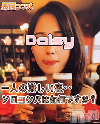 Ĺ�����������襳��ѥ˥��󥯥�� Ĺ������ѥ˥���-Daisy- �ǥ����� (Ĺ����ȯ ���㸩����)(�ʥ���������ѥ˥���ǥ�����)��Ź�ޥ��᡼�����ܡ֤�����ͤǤ�ڤ�����������Ѣ�����