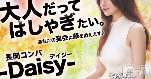 Ĺ襳ѥ˥󥯥Ĺѥ˥-Daisy- ǥ (Ĺȯ 㸩)(ʥѥ˥ǥ)  2024ǯ105̥֥֢Źϡ