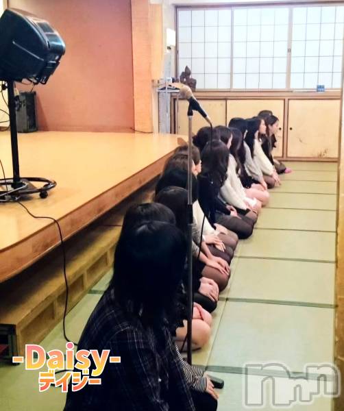 Ĺ襳ѥ˥󥯥Ĺѥ˥-Daisy- ǥ (Ĺȯ 㸩)(ʥѥ˥ǥ)  2024ǯ108̥֥֥ǥ£ǯץ󡪡