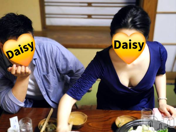 Ĺ襳ѥ˥󥯥Ĺѥ˥-Daisy- ǥ (Ĺȯ 㸩)(ʥѥ˥ǥ)  2024ǯ1019̥֥֤ɤʱ񥳥ѥ˥ɸƤ館ޤ