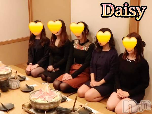 Ĺ襳ѥ˥󥯥Ĺѥ˥-Daisy- ǥ (Ĺȯ 㸩)(ʥѥ˥ǥ)  2024ǯ1030̥֥˺ǯϥѥ˥Ǣ