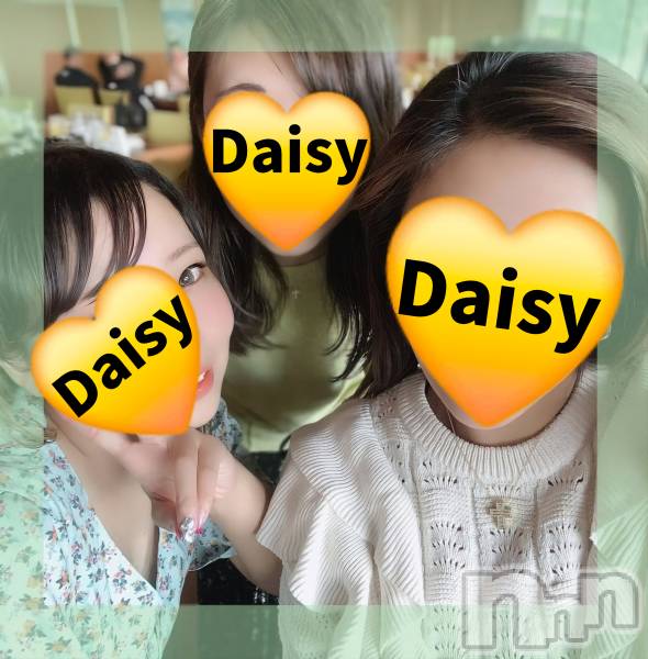 Ĺ襳ѥ˥󥯥Ĺѥ˥-Daisy- ǥ (Ĺȯ 㸩)(ʥѥ˥ǥ)  2024ǯ117̥֥ͥѥ˥󤬱夲ޤ✨🍻🎶