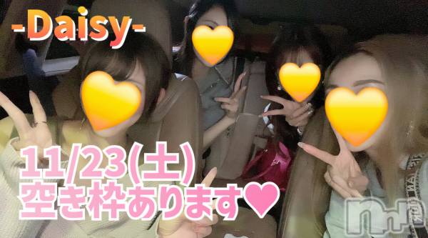 Ĺ襳ѥ˥󥯥Ĺѥ˥-Daisy- ǥ (Ĺȯ 㸩)(ʥѥ˥ǥ)  2024ǯ1115̥֥11/23()ͽޤ!!