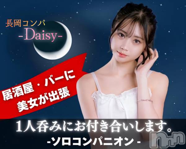 Ĺ襳ѥ˥󥯥Ĺѥ˥-Daisy- ǥ (Ĺȯ 㸩)(ʥѥ˥ǥ)  2024ǯ1119ֿ̥֥ˡ🍸️✨🍸️