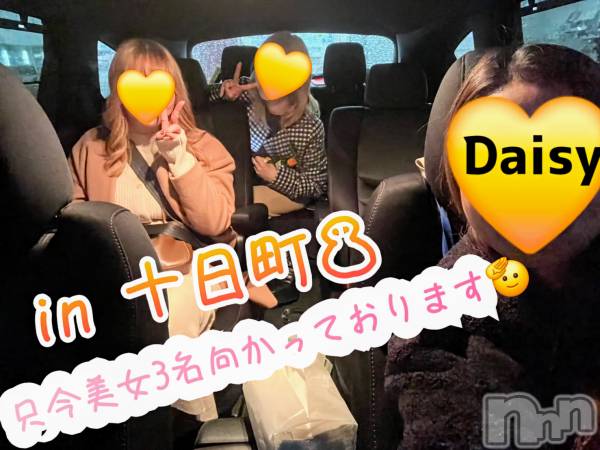 Ĺ襳ѥ˥󥯥Ĺѥ˥-Daisy- ǥ (Ĺȯ 㸩)(ʥѥ˥ǥ)  2024ǯ1214̵ִ̥֥֤񥹥✨🍻🎶