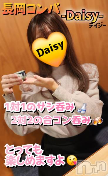 Ĺ襳ѥ˥󥯥Ĺѥ˥-Daisy- ǥ (Ĺȯ 㸩)(ʥѥ˥ǥ)  2024ǯ1218ֵ̥֥Τ🧡🥂