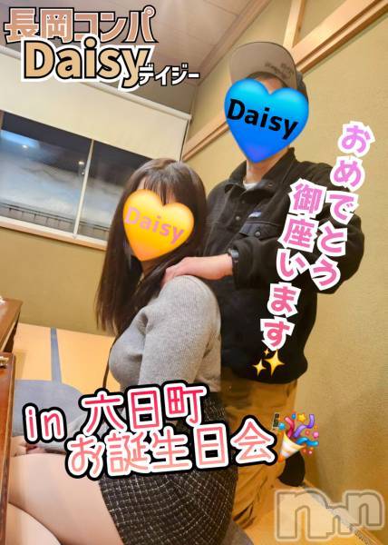 Ĺ襳ѥ˥󥯥Ĺѥ˥-Daisy- ǥ (Ĺȯ 㸩)(ʥѥ˥ǥ)  2025ǯ120̥֥֤ in ϻĮ🎉✨😆