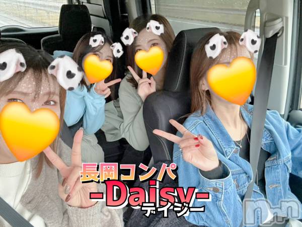 Ĺ襳ѥ˥󥯥Ĺѥ˥-Daisy- ǥ (Ĺȯ 㸩)(ʥѥ˥ǥ)  2025ǯ124̥֥֡🌼̲޲Τͽ🌼ۡ
