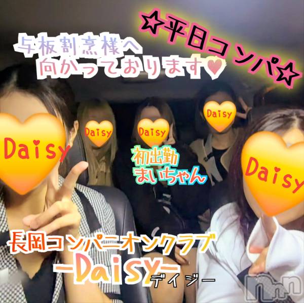 Ĺ襳ѥ˥󥯥Ĺѥ˥-Daisy- ǥ (Ĺȯ 㸩)(ʥѥ˥ǥ)  2025ǯ24̥֥ʿ🍻✨äƤޤ🚗💨