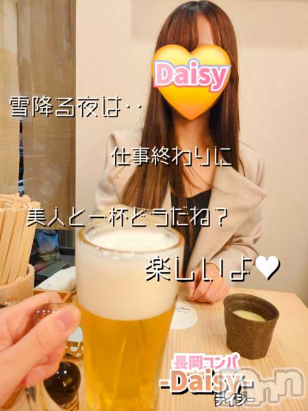Ĺ襳ѥ˥󥯥Ĺѥ˥-Daisy- ǥ (Ĺȯ 㸩)(ʥѥ˥ǥ)  2025ǯ25̥֥֡ۥѤǮ🍺✨🍺