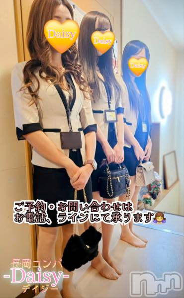 Ĺ襳ѥ˥󥯥Ĺѥ˥-Daisy- ǥ (Ĺȯ 㸩)(ʥѥ˥ǥ)  2025ǯ217̥֥֡޲񡦴޲仿ޤ✨🍻🎶