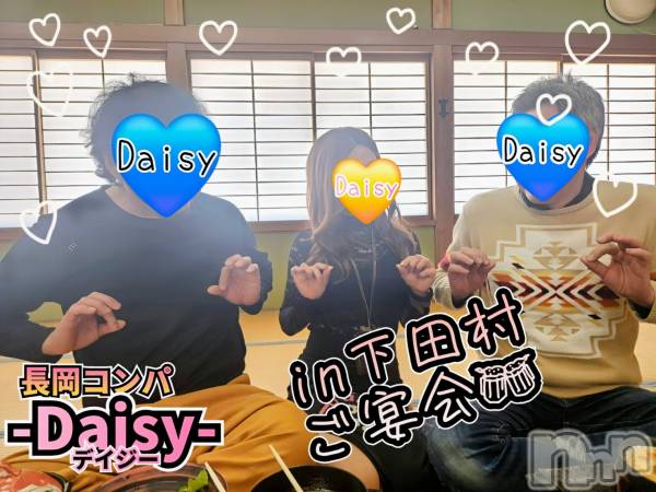 Ĺ襳ѥ˥󥯥Ĺѥ˥-Daisy- ǥ (Ĺȯ 㸩)(ʥѥ˥ǥ)  2025ǯ218̥֥֤ޤ🥶ǤڱǮ🍺💥🍺