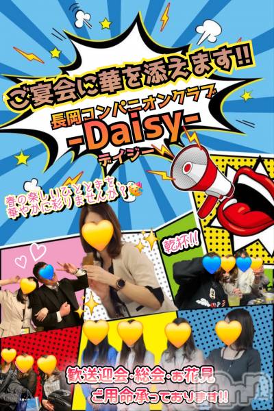 Ĺ襳ѥ˥󥯥Ĺѥ˥-Daisy- ǥ (Ĺȯ 㸩)(ʥѥ˥ǥ)  2025ǯ226̥֥֡ڤۤϥǥˤǤ🍻✨
