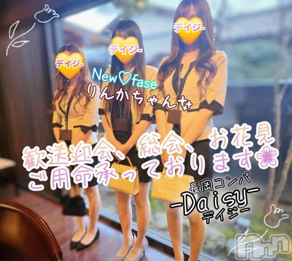 Ĺ襳ѥ˥󥯥Ĺѥ˥-Daisy- ǥ (Ĺȯ 㸩)(ʥѥ˥ǥ)  2025ǯ313ָ̥֥ԡڥǥץ쥤ϰ 🍻✨