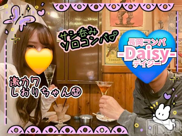 Ĺ襳ѥ˥󥯥Ĺѥ˥-Daisy- ǥ (Ĺȯ 㸩)(ʥѥ˥ǥ)  2025ǯ319̥֥̲֡񥷡💐ۤޤ☃️☃️