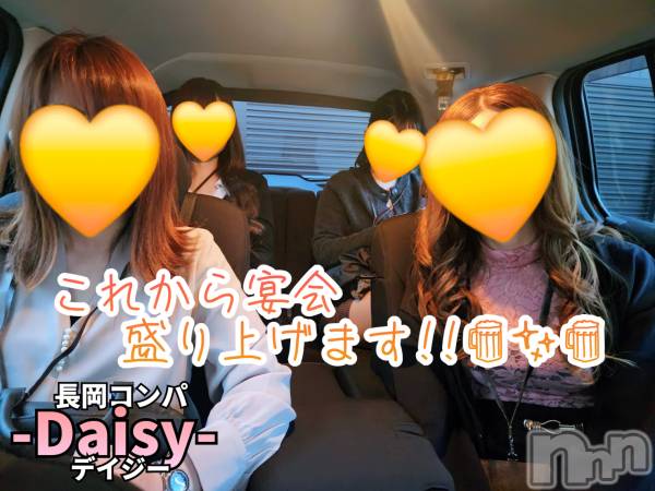 Ĺ襳ѥ˥󥯥Ĺѥ˥-Daisy- ǥ (Ĺȯ 㸩)(ʥѥ˥ǥ)  2025ǯ322ֶ̥֥ɴա🌱🌷🌱ۡ