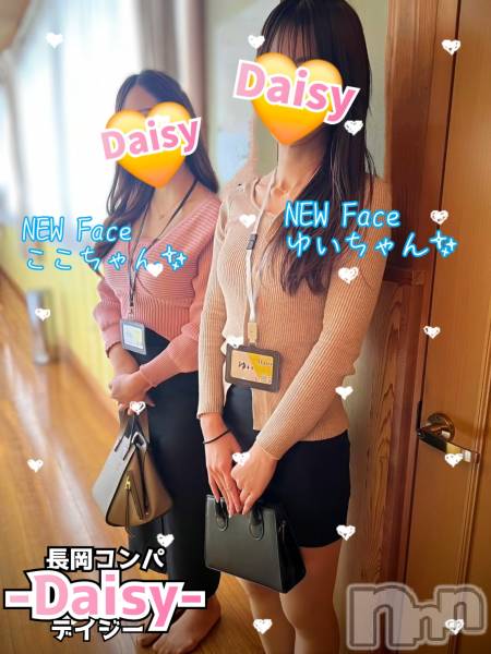 Ĺ襳ѥ˥󥯥Ĺѥ˥-Daisy- ǥ (Ĺȯ 㸩)(ʥѥ˥ǥ)  2025ǯ323̥֥֡ڤߡۤϺޤ🛐