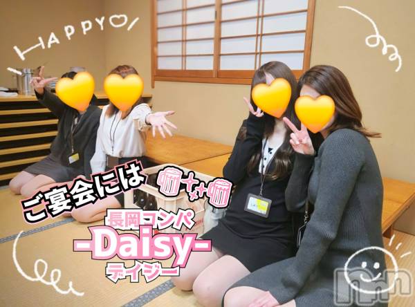 Ĺ襳ѥ˥󥯥Ĺѥ˥-Daisy- ǥ (Ĺȯ 㸩)(ʥѥ˥ǥ)  2025ǯ324̥֥֡ڱۤϥѥ˥󤬤夬롪✨🍻🎶