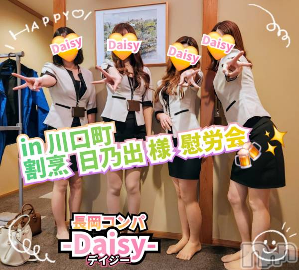 Ĺ襳ѥ˥󥯥Ĺѥ˥-Daisy- ǥ (Ĺȯ 㸩)(ʥѥ˥ǥ)  2025ǯ45̥֥᤯ڥۺ餫ʤ🌸