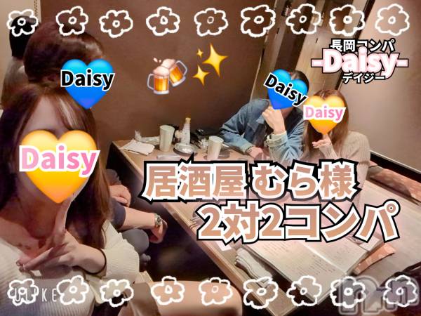 Ĺ襳ѥ˥󥯥Ĺѥ˥-Daisy- ǥ (Ĺȯ 㸩)(ʥѥ˥ǥ)  2025ǯ412̥֥Ĺ̤ڵ ۤ͡🍻✨
