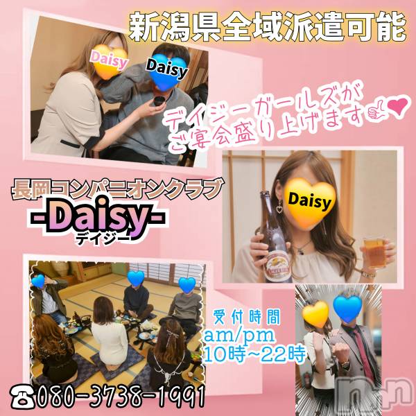 Ĺ襳ѥ˥󥯥Ĺѥ˥-Daisy- ǥ (Ĺȯ 㸩)(ʥѥ˥ǥ)  2025ǯ415ֿ̥֥㸩ΤϤǤ!!💛