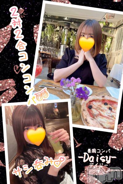 Ĺ襳ѥ˥󥯥Ĺѥ˥-Daisy- ǥ (Ĺȯ 㸩)(ʥѥ˥ǥ)  2025ǯ417̥֥֡ڣУݤߡУ祳󥳥ѳڤ🍻💕ۡ