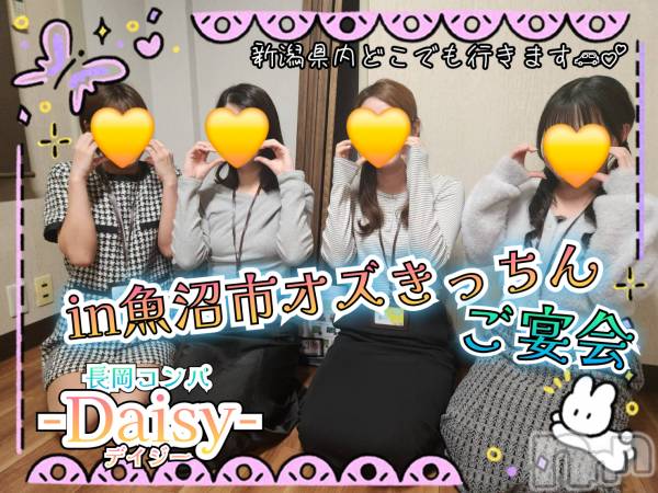 Ĺ襳ѥ˥󥯥Ĺѥ˥-Daisy- ǥ (Ĺȯ 㸩)(ʥѥ˥ǥ)  2025ǯ422̥֥inڵ»🌸ۤ✨🍻🎶