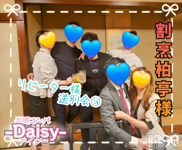 Ĺ襳ѥ˥󥯥Ĺѥ˥-Daisy- ǥ (Ĺȯ 㸩)(ʥѥ˥ǥ)  2025ǯ430̥֥Ĺԡڥ̲͡🌷