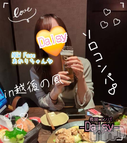 Ĺ襳ѥ˥󥯥Ĺѥ˥-Daisy- ǥ (Ĺȯ 㸩)(ʥѥ˥ǥ)  2025ǯ52̥֥Ǯ💛ڥѡ🍻💕