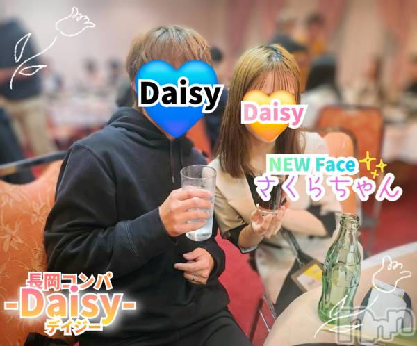 Ĺ襳ѥ˥󥯥Ĺѥ˥-Daisy- ǥ (Ĺȯ 㸩)(ʥѥ˥ǥ)  2025ǯ510̥֥֥ǥӥ塼Ф!!ڿۤ͡󤴾Ҳ😍