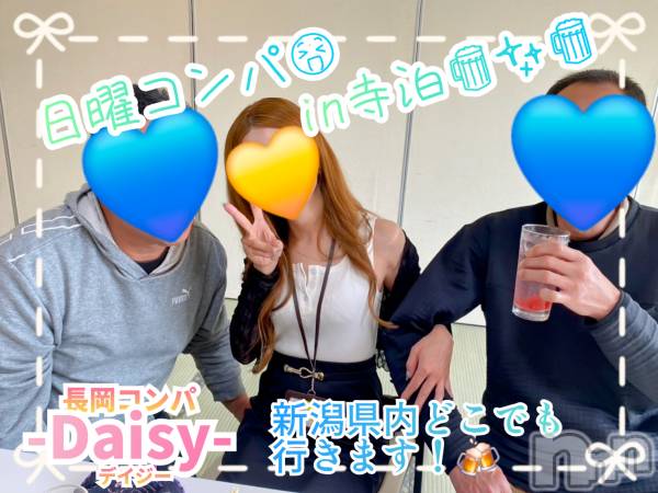 Ĺ襳ѥ˥󥯥Ĺѥ˥-Daisy- ǥ (Ĺȯ 㸩)(ʥѥ˥ǥ)  2025ǯ512̥֥֡˥ѡin 🍺✨🍺