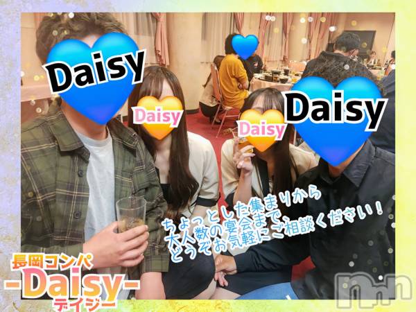 Ĺ襳ѥ˥󥯥Ĺѥ˥-Daisy- ǥ (Ĺȯ 㸩)(ʥѥ˥ǥ)  2025ǯ514̥֥֡˺Ƥ😭