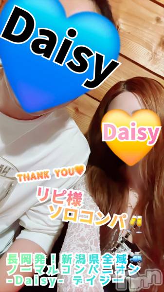Ĺ襳ѥ˥󥯥Ĺѥ˥-Daisy- ǥ (Ĺȯ 㸩)(ʥѥ˥ǥ)  2025ǯ518ֻ̥֥ڤƤ͡ۥ🥂💕