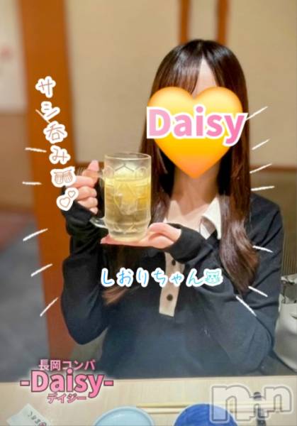 Ĺ襳ѥ˥󥯥Ĺѥ˥-Daisy- ǥ (Ĺȯ 㸩)(ʥѥ˥ǥ)  2025ǯ523̥֥֥👩‍❤️‍👨🍴🍸️
