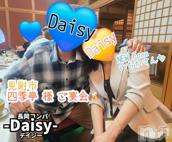 Ĺ襳ѥ˥󥯥Ĺѥ˥-Daisy- ǥ (Ĺȯ 㸩)(ʥѥ˥ǥ)  2025ǯ525̥֥֡in ԡۥɡ͵ ͤ🍻✨