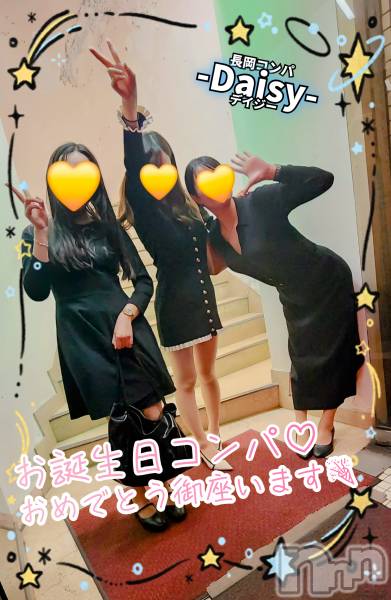 Ĺ襳ѥ˥󥯥Ĺѥ˥-Daisy- ǥ (Ĺȯ 㸩)(ʥѥ˥ǥ)  2025ǯ530̥֥֡ڤin ַ 🎉✨😆