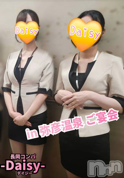 Ĺ襳ѥ˥󥯥Ĺѥ˥-Daisy- ǥ (Ĺȯ 㸩)(ʥѥ˥ǥ)  2025ǯ68̥֥˥Ѥɧ🍻✨