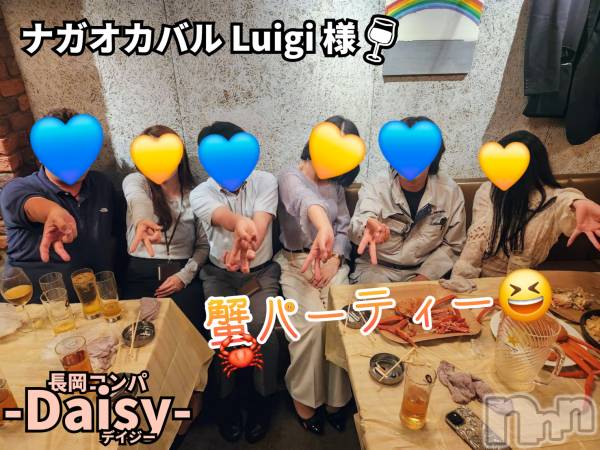 Ĺ襳ѥ˥󥯥Ĺѥ˥-Daisy- ǥ (Ĺȯ 㸩)(ʥѥ˥ǥ)  2025ǯ612̥֥֡ڳۥѡƥ🥂🦀