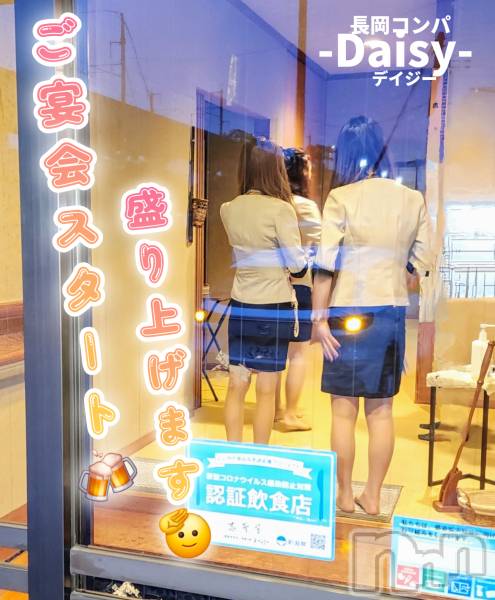 Ĺ襳ѥ˥󥯥Ĺѥ˥-Daisy- ǥ (Ĺȯ 㸩)(ʥѥ˥ǥ)  2025ǯ614̥֥֤줫餴񥹥ȤǤ!!🍺✨🍺
