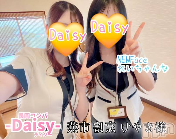 Ĺ襳ѥ˥󥯥Ĺѥ˥-Daisy- ǥ (Ĺȯ 㸩)(ʥѥ˥ǥ)  2025ǯ619̥֥inڱԡ۳ˣ 䤭 🍺✨🍺