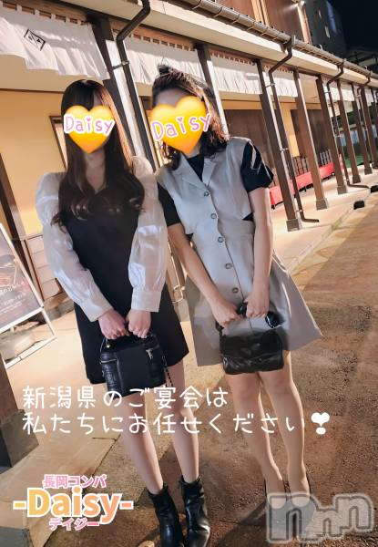 Ĺ襳ѥ˥󥯥Ĺѥ˥-Daisy- ǥ (Ĺȯ 㸩)(ʥѥ˥ǥ)  2025ǯ626̥֥֡Ĺ貰 ĮŹͤ🍻✨