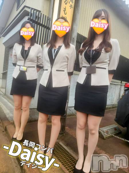 Ĺ襳ѥ˥󥯥Ĺѥ˥-Daisy- ǥ (Ĺȯ 㸩)(ʥѥ˥ǥ)  2025ǯ79̥֥֡  ۤ͡🍻✨