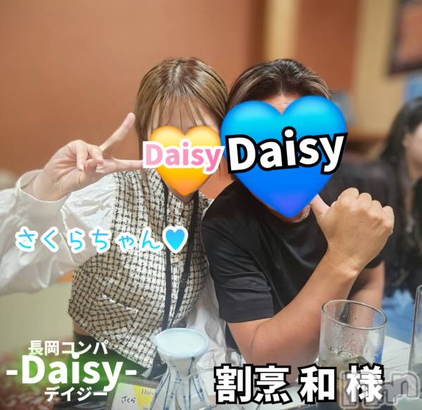 Ĺ襳ѥ˥󥯥Ĺѥ˥-Daisy- ǥ (Ĺȯ 㸩)(ʥѥ˥ǥ)  2025ǯ716̥֥Ĺԡڳˣ ¡ 🍻✨