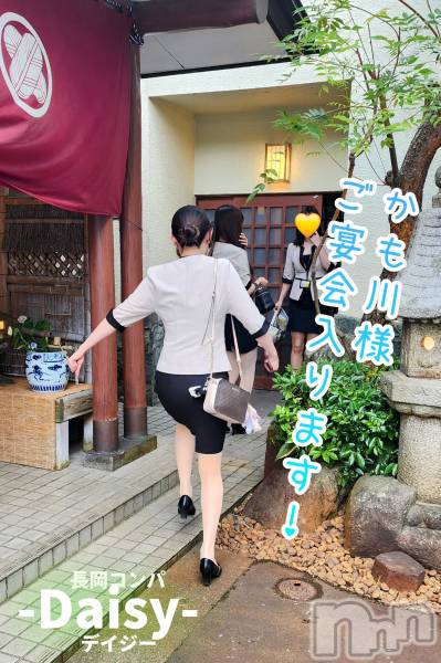 Ĺ襳ѥ˥󥯥Ĺѥ˥-Daisy- ǥ (Ĺȯ 㸩)(ʥѥ˥ǥ)  2025ǯ716̥֥֡ڤͤޤ❣️
